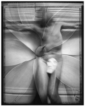 portfolio 1 : panoramic landscapes